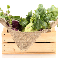 cesta-duo Cesta dúo