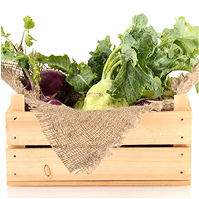 cesta-verde-duo Cesta verde dúo