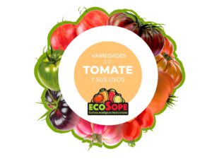 Variedades de tomate y sus usos Ecosope