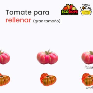 Tomate para rellenar